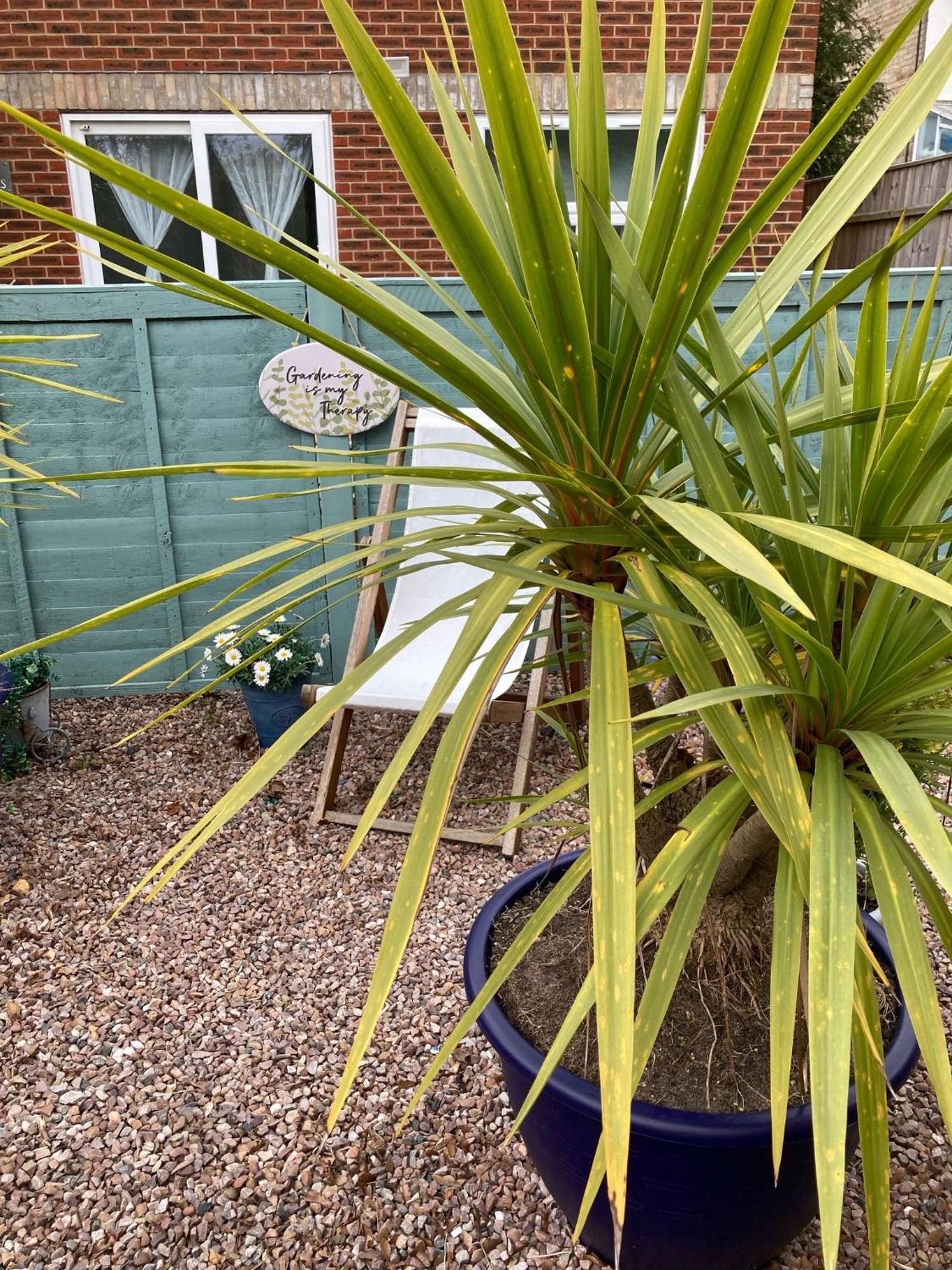 The Sashes - Cozy - Free Parking - Ultrafast Wifi - Smart Tv - Netflix - Sleeps Up To 6! Close To Town Center & Sandbanks & Bournemouth Poole